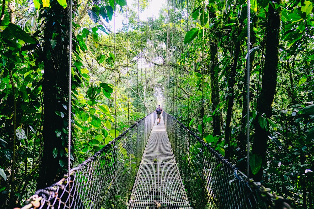 昼間、緑の木々に囲まれた吊り橋の上を歩く人
