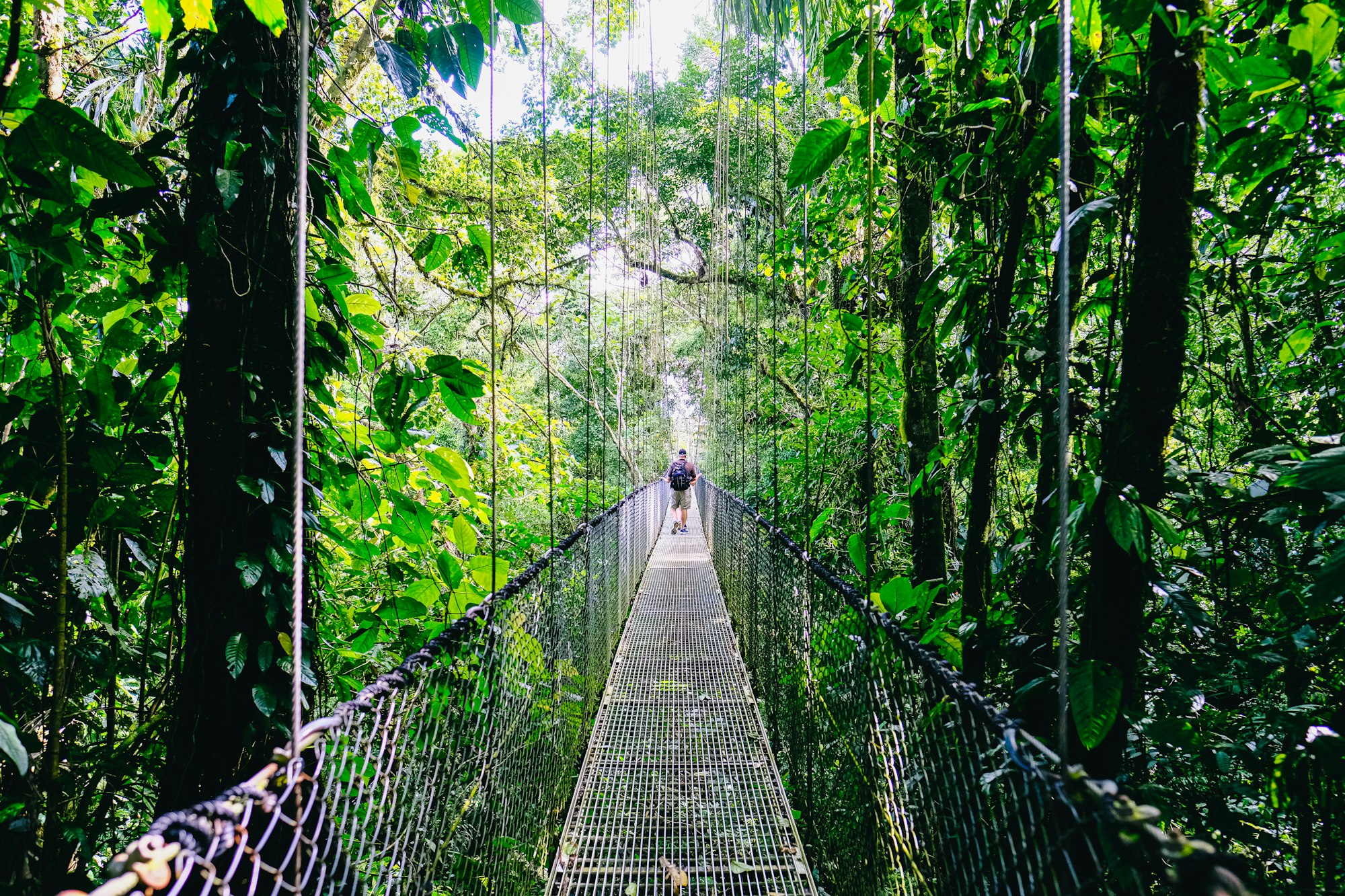 Bridge in Costa Rica jungle. Photo by Fabio Fistarol / Unsplash