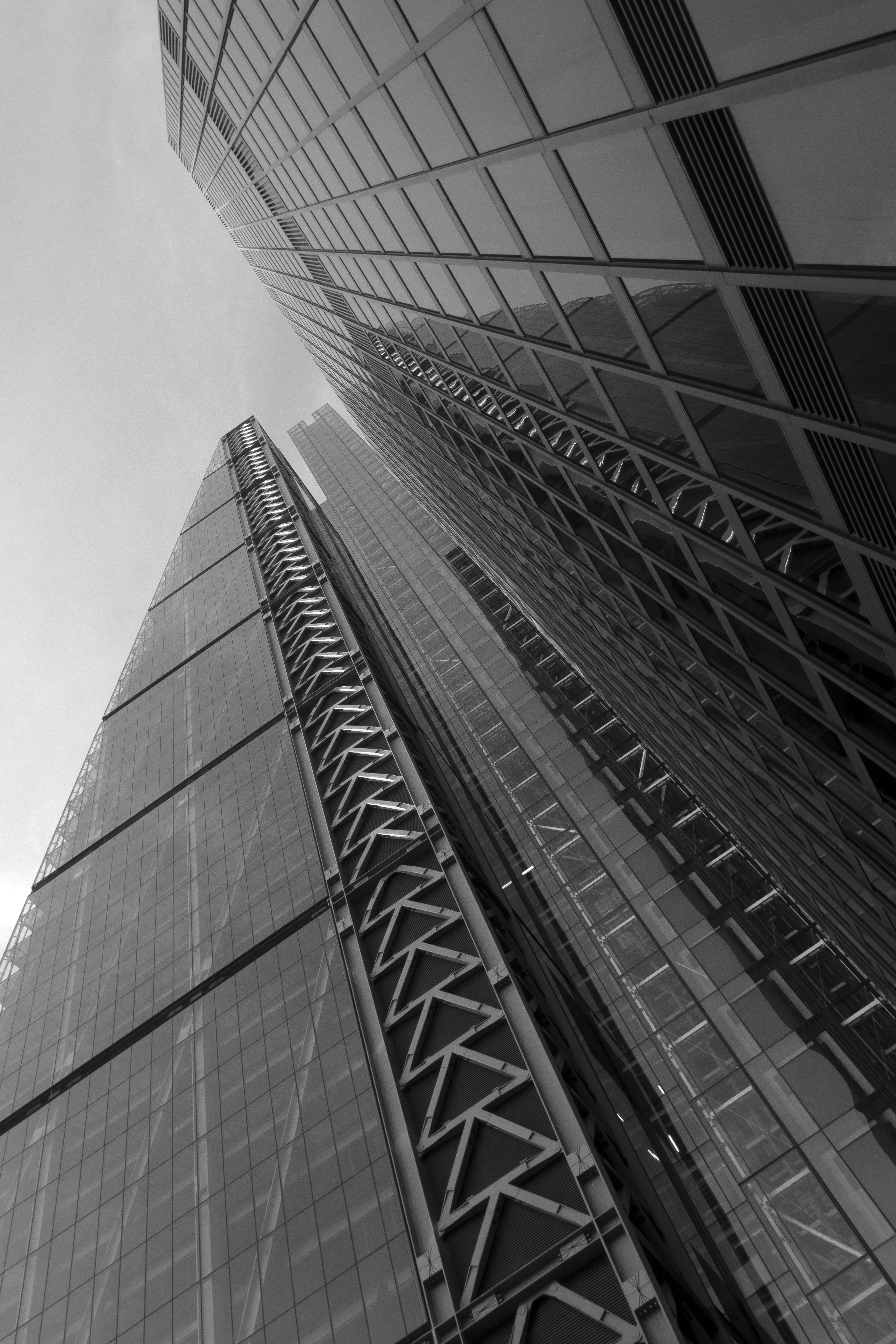 Photo by richardphoenix