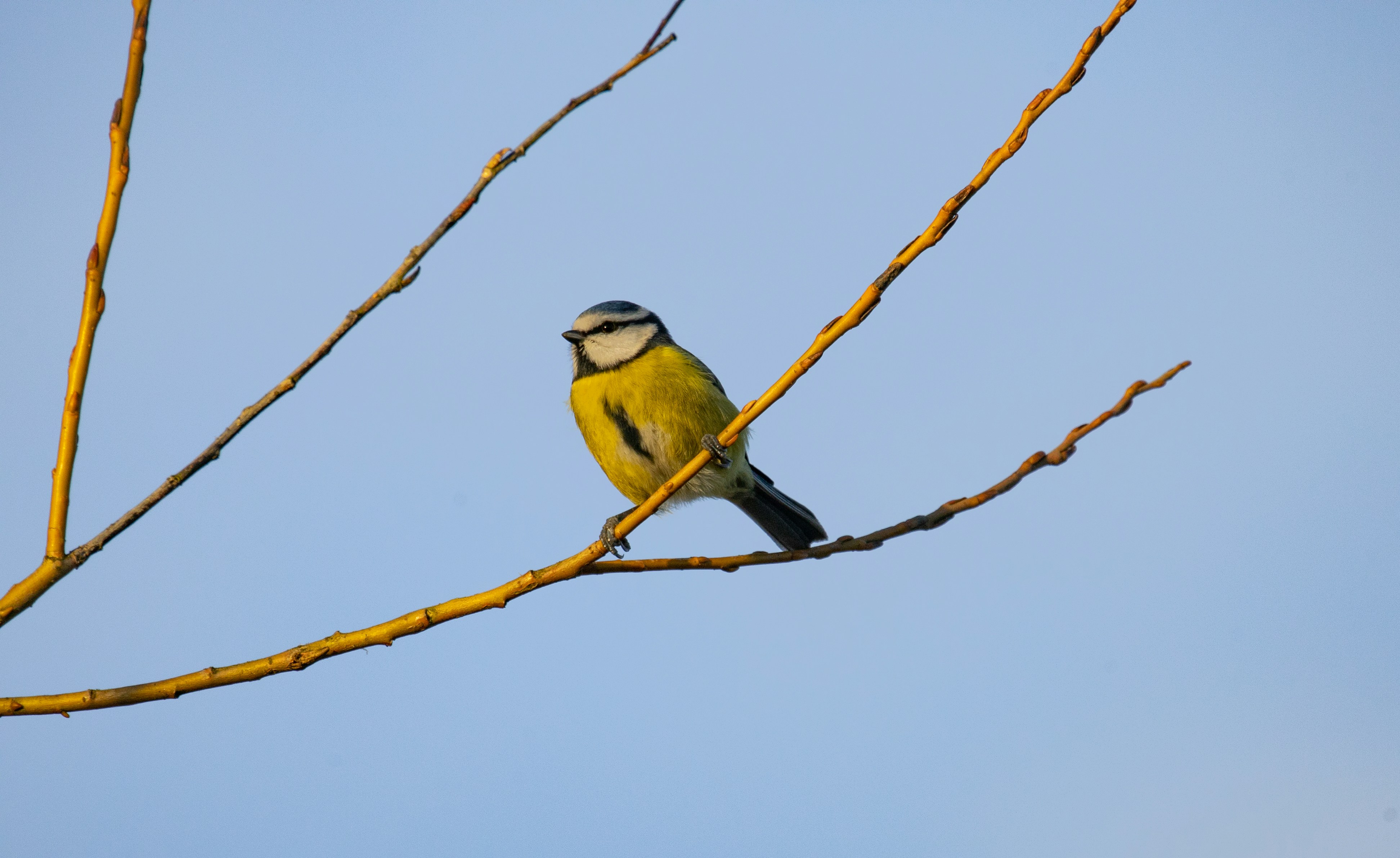 Photo by grievek1610begur