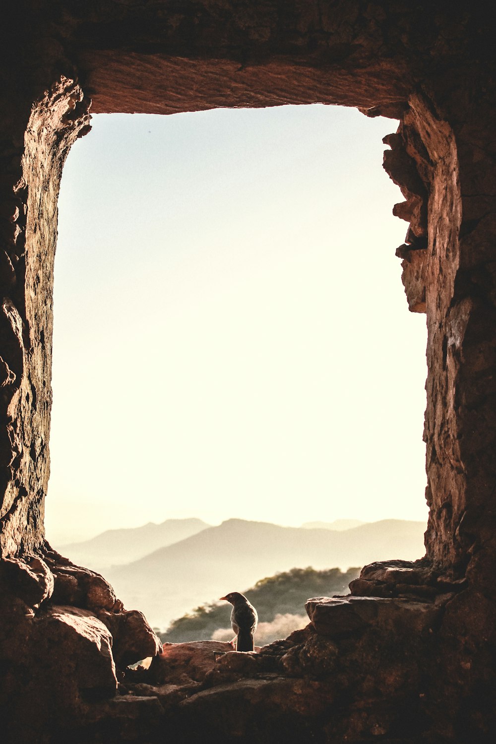 brown rock formation near body of water during daytime