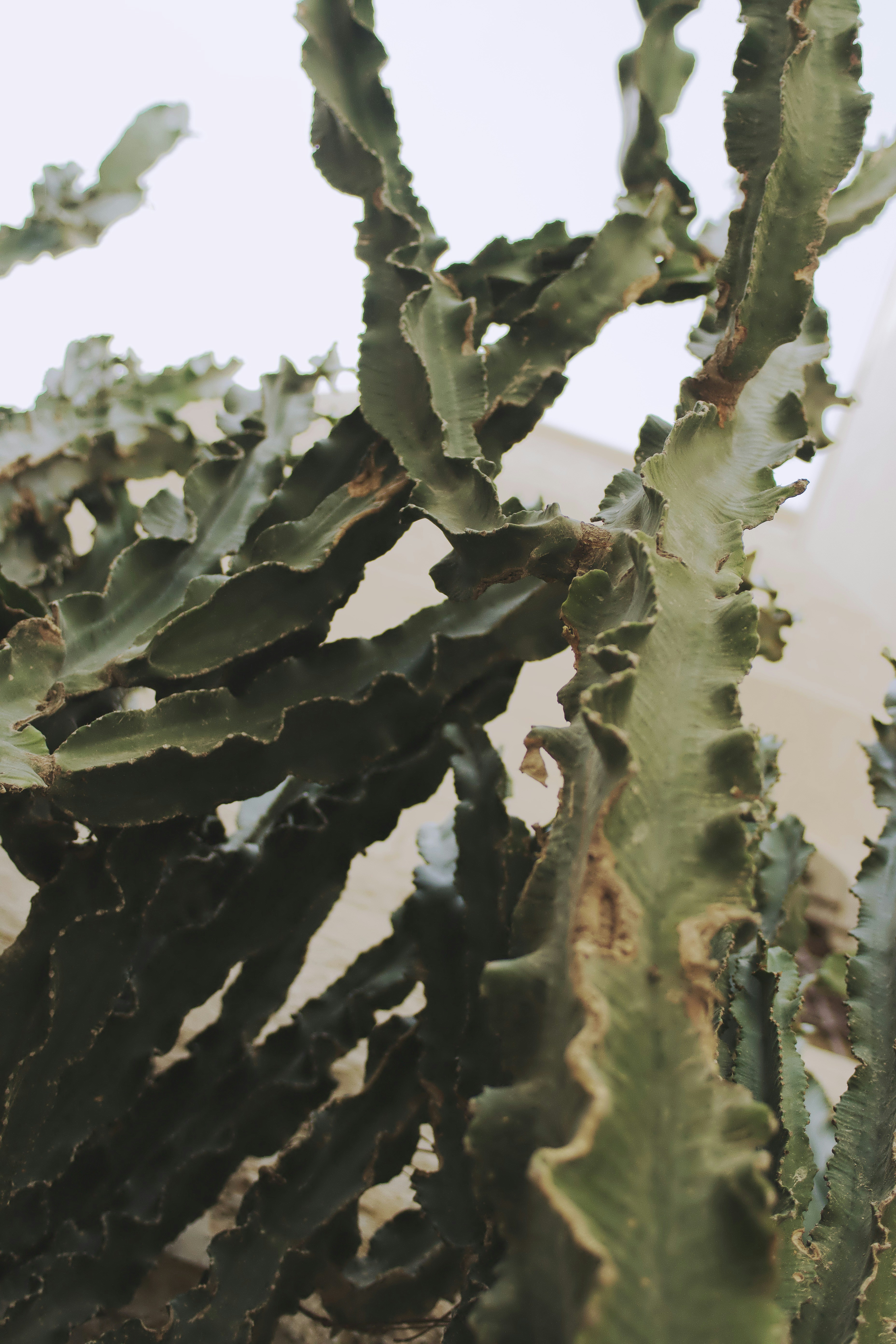 Photo by cloudyimages