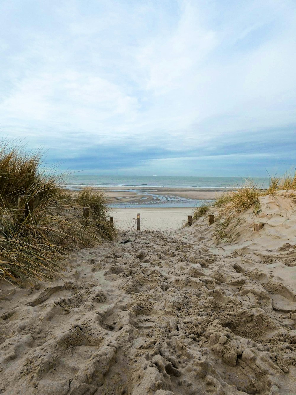 brown sand near body of water during daytime