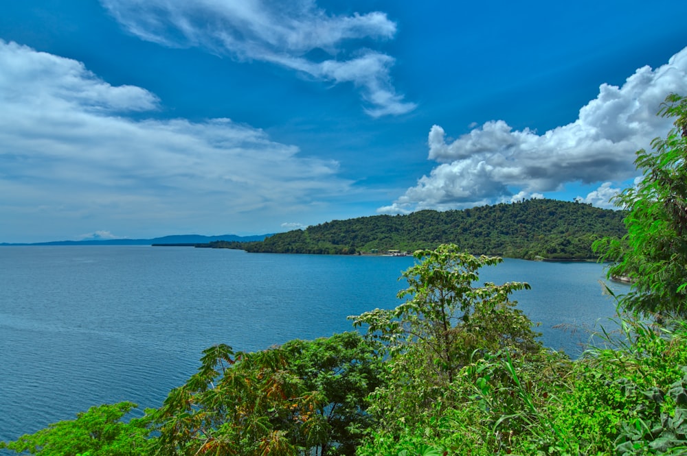 green trees near body of water under blue sky and white clouds during daytime