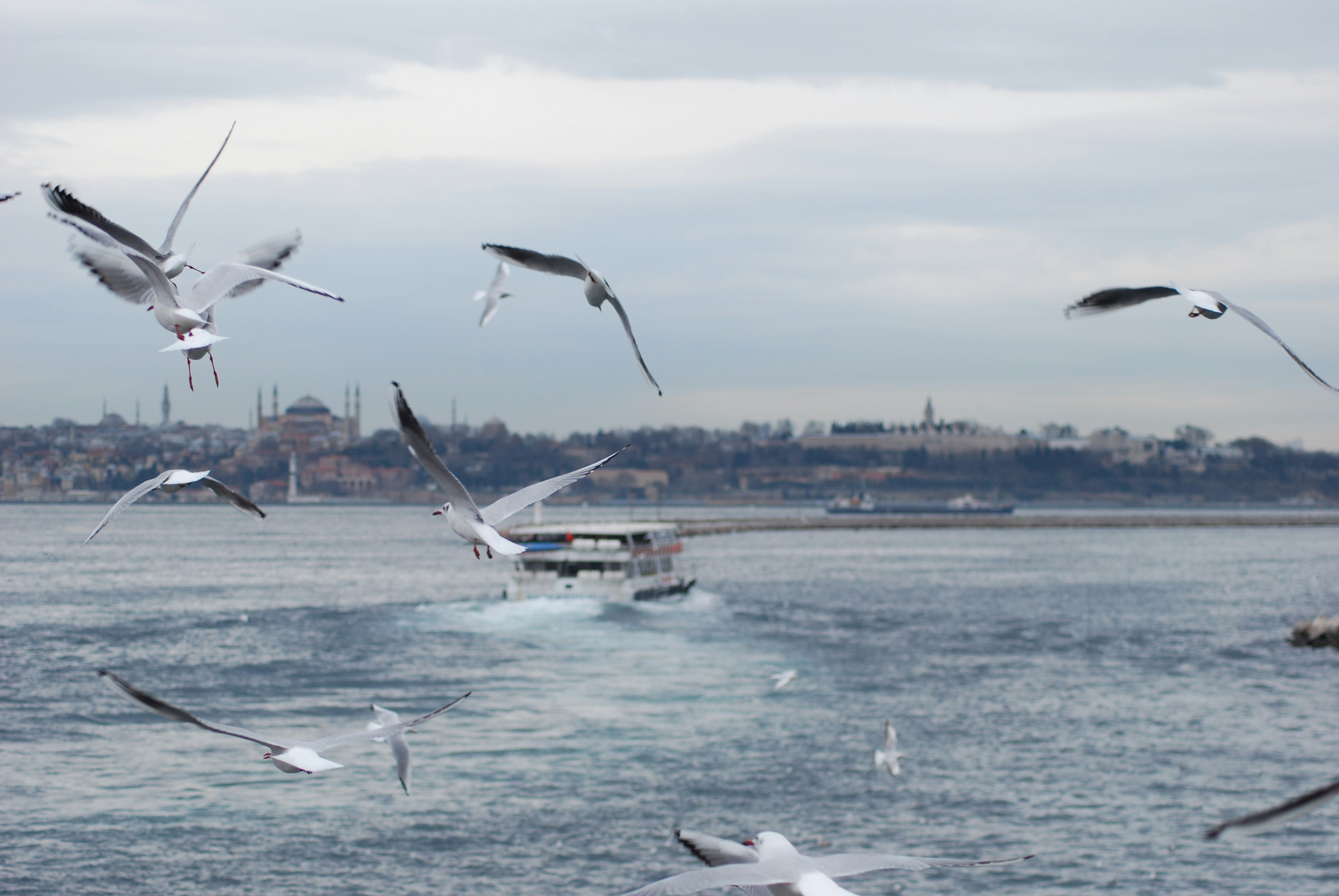 Photo by cengizhanmenevse