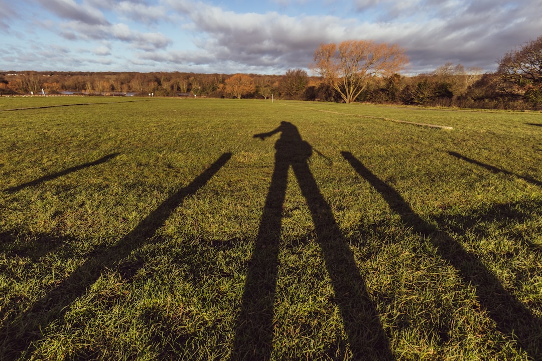 green grass field under blue sky during daytime