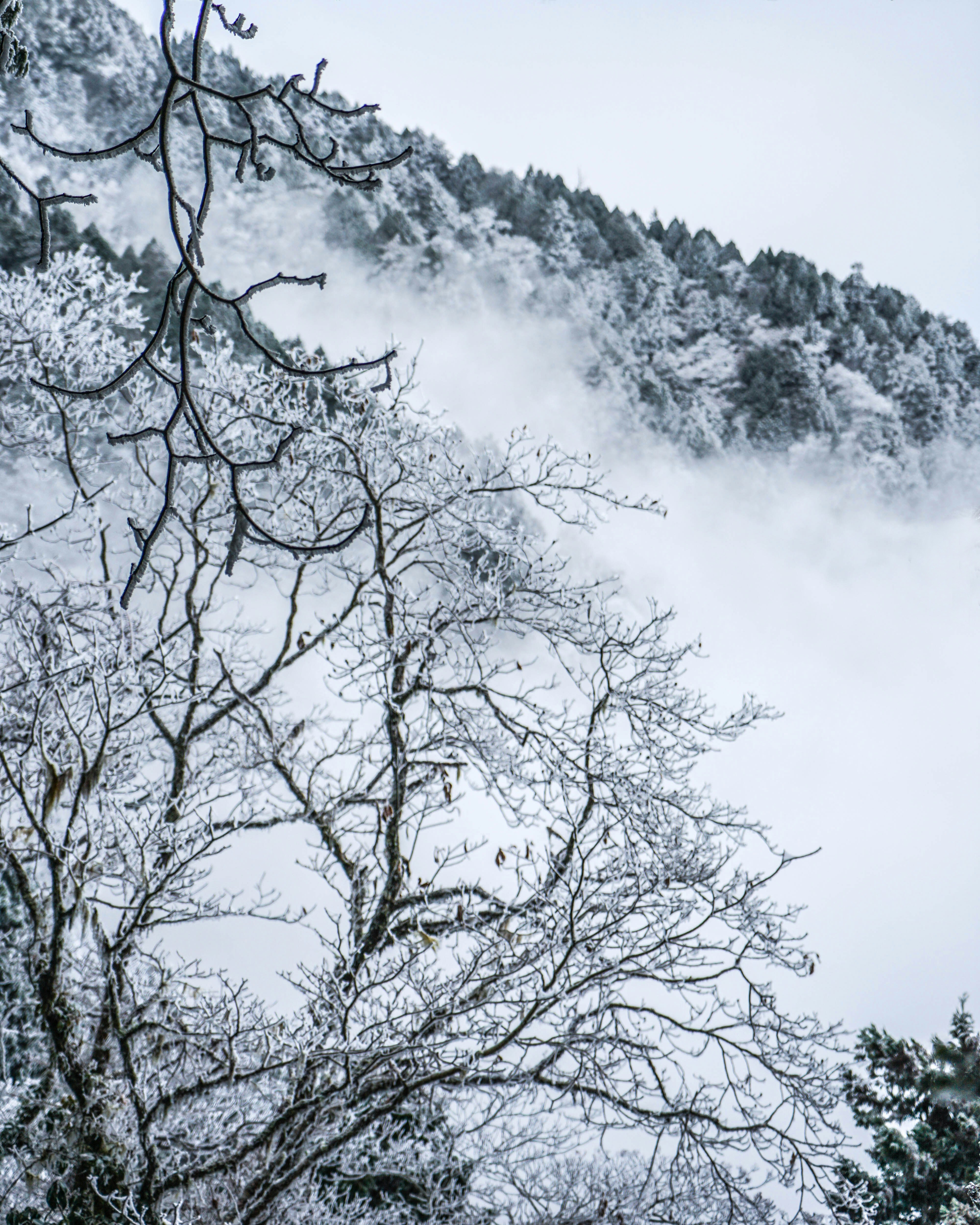 Photo by maggie__1105