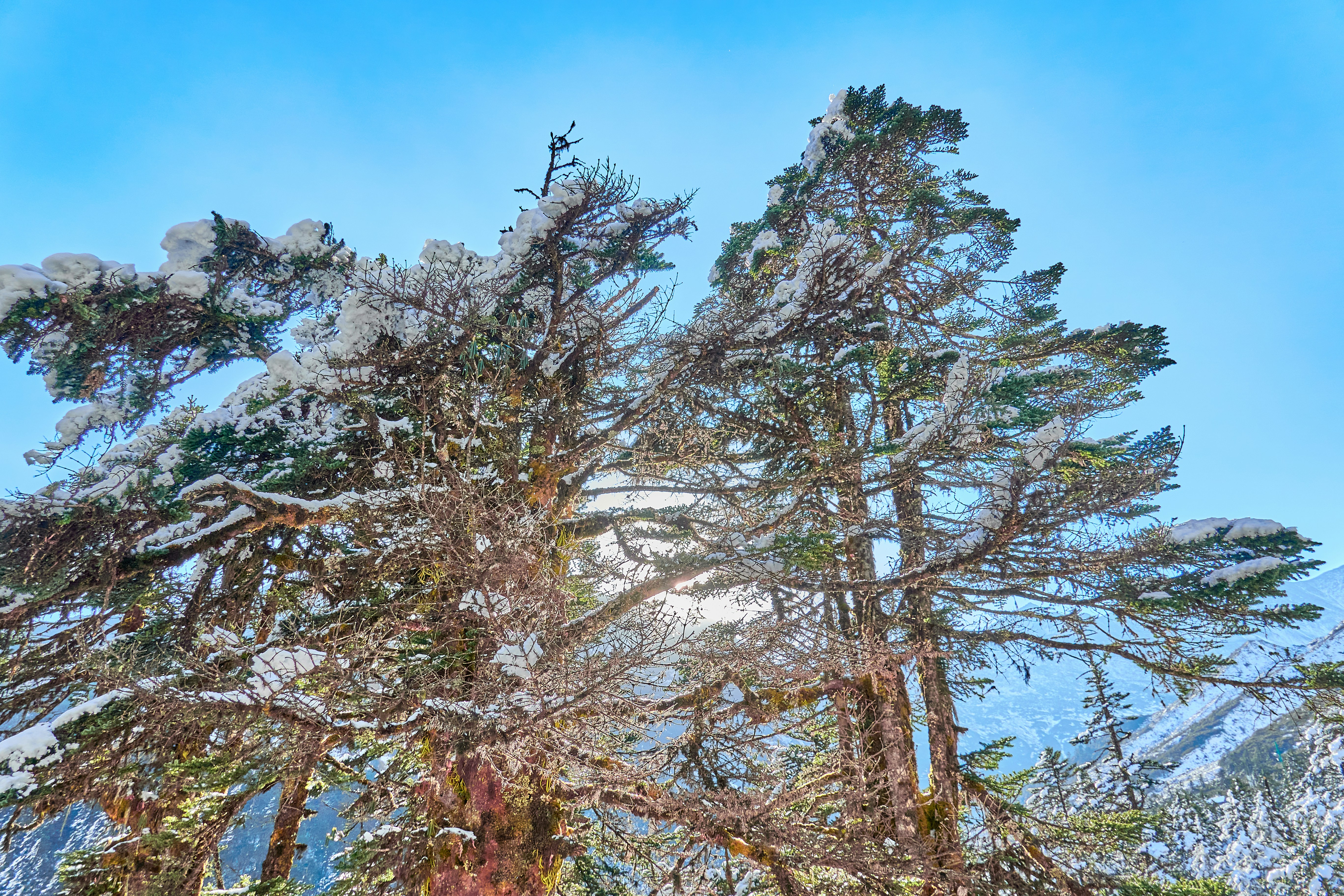 Photo by weweclub_wewe