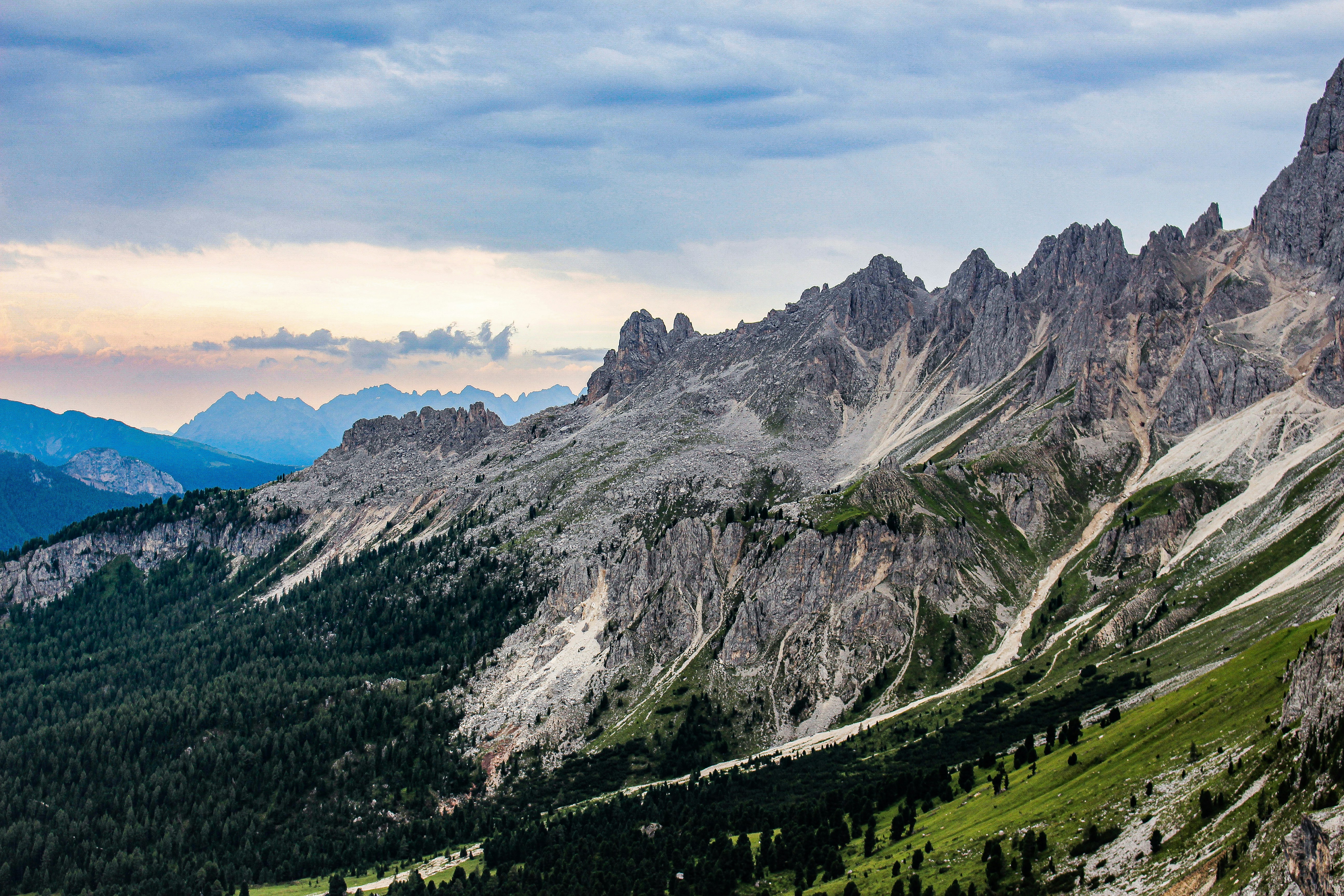 Photo by tudor_photography