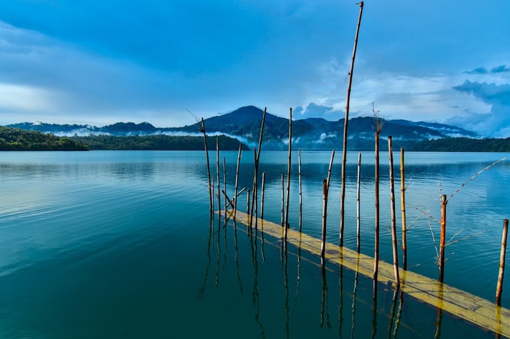 brown wooden dock on calm sea under blue sky during daytime