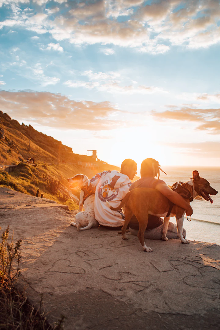 Come viaggiare per il mondo con cani o altri animali domestici