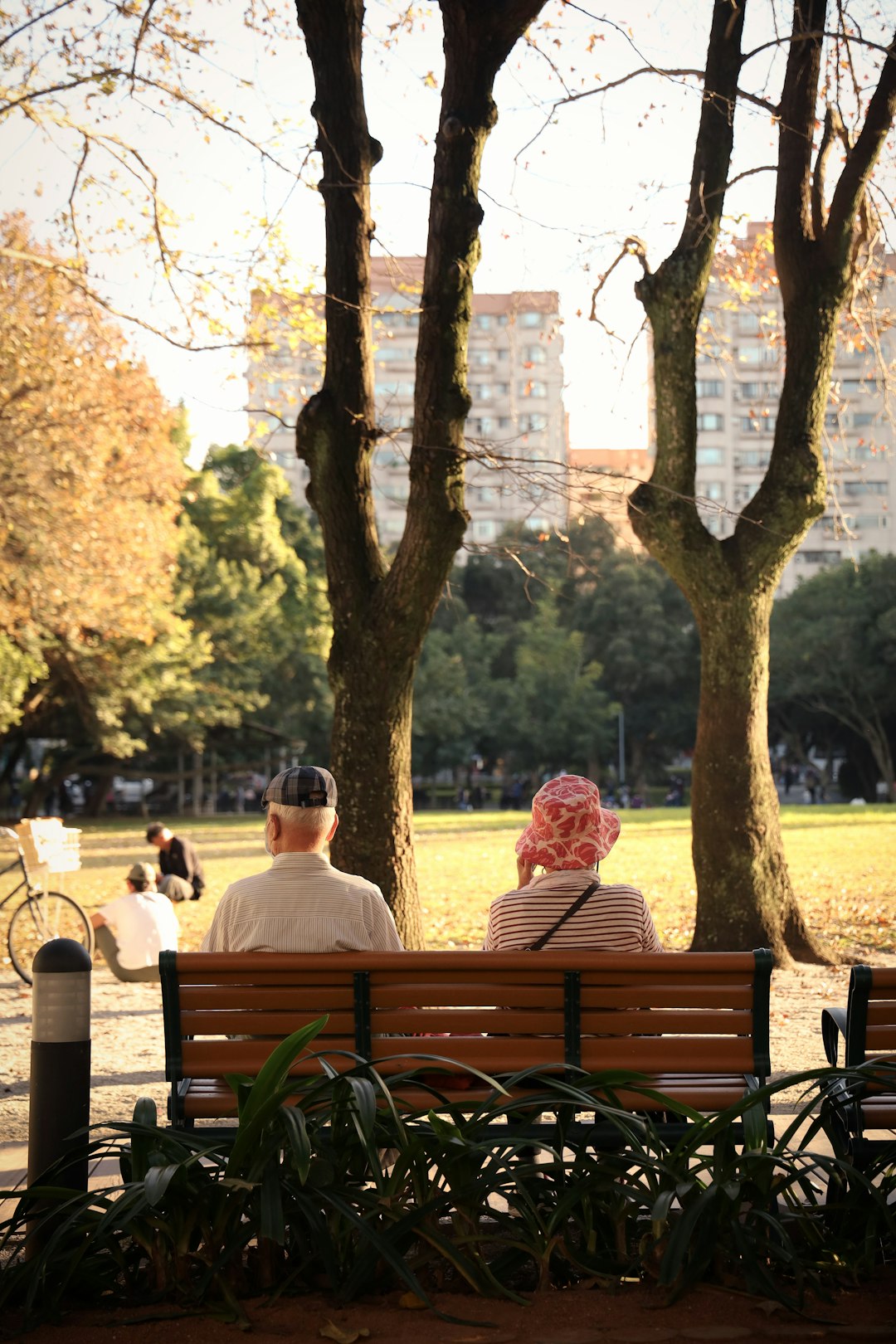 2 women sitting on brown wooden bench during daytime