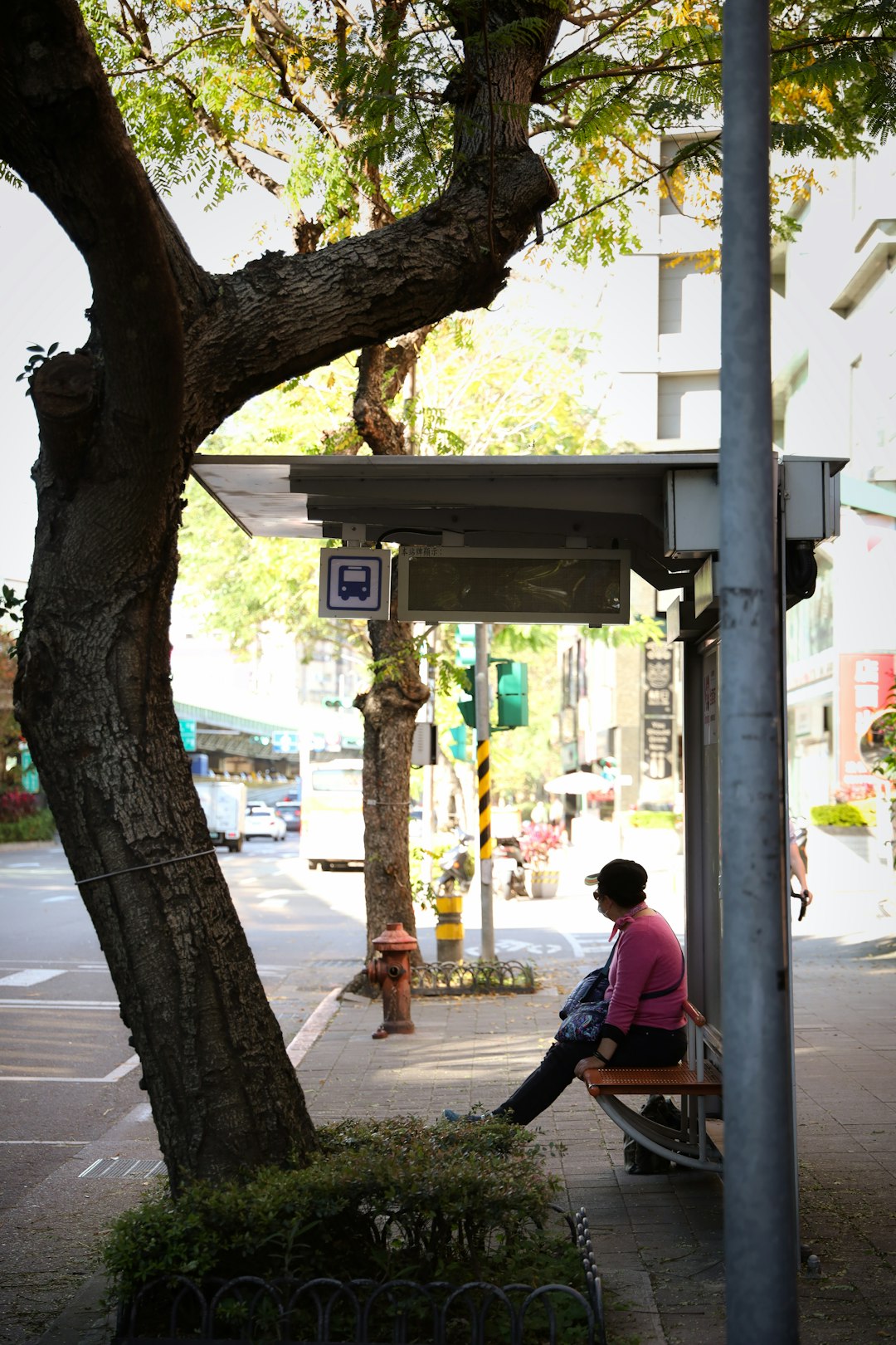 man in black t-shirt sitting on bench near tree during daytime