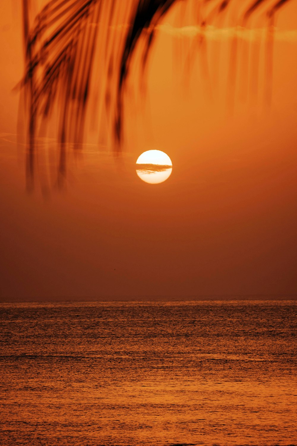 body of water during sunset