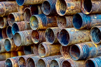 brown wooden tree logs in close up photography