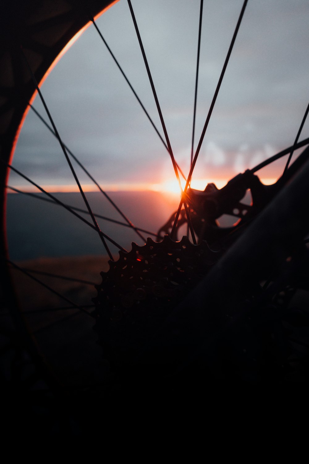 タイヤ付き茶色の自転車ホイール