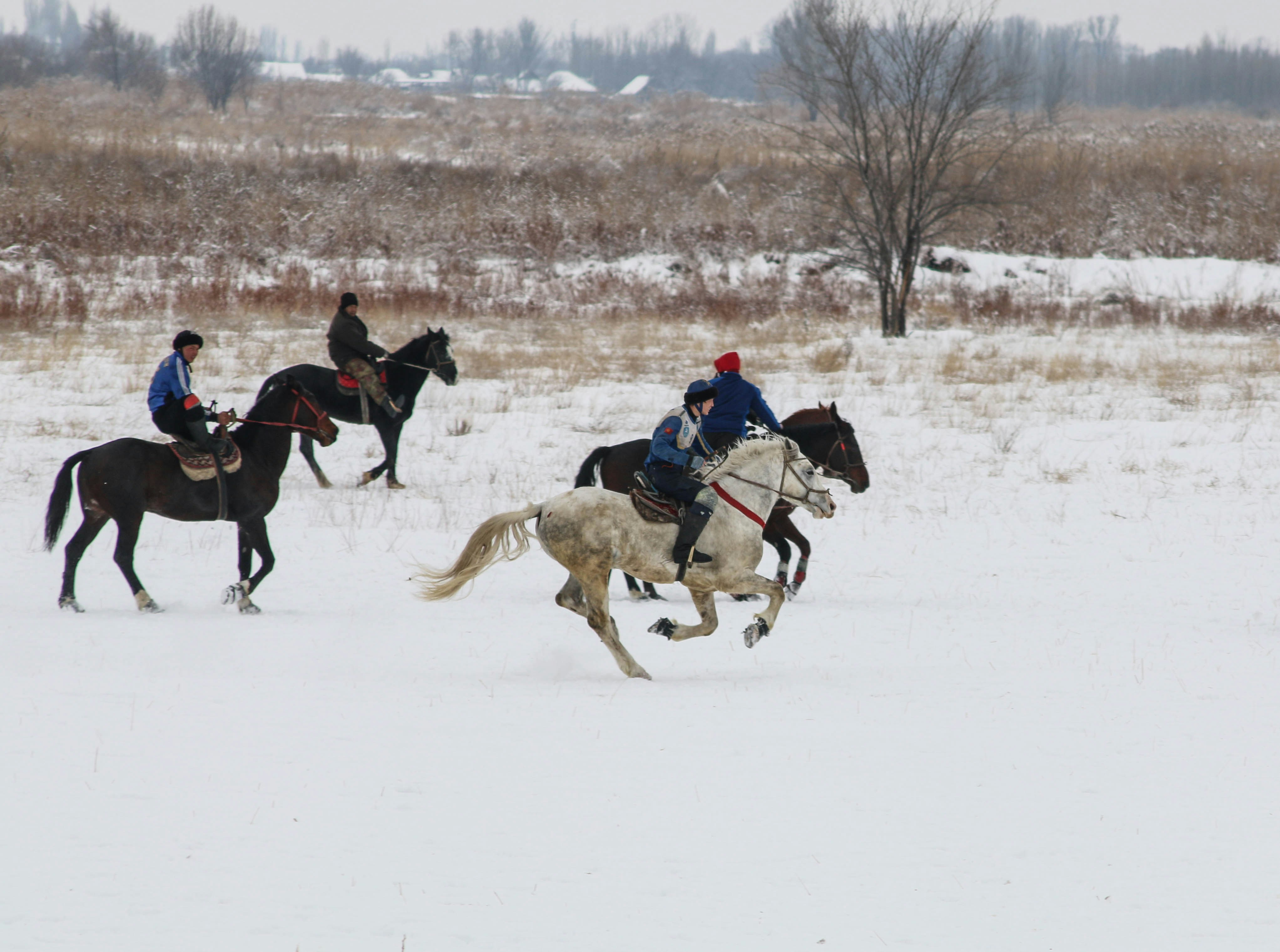 zeitwert auto berechnen versicherung