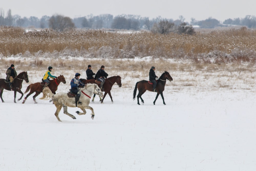 people riding horses on snow covered field during daytime