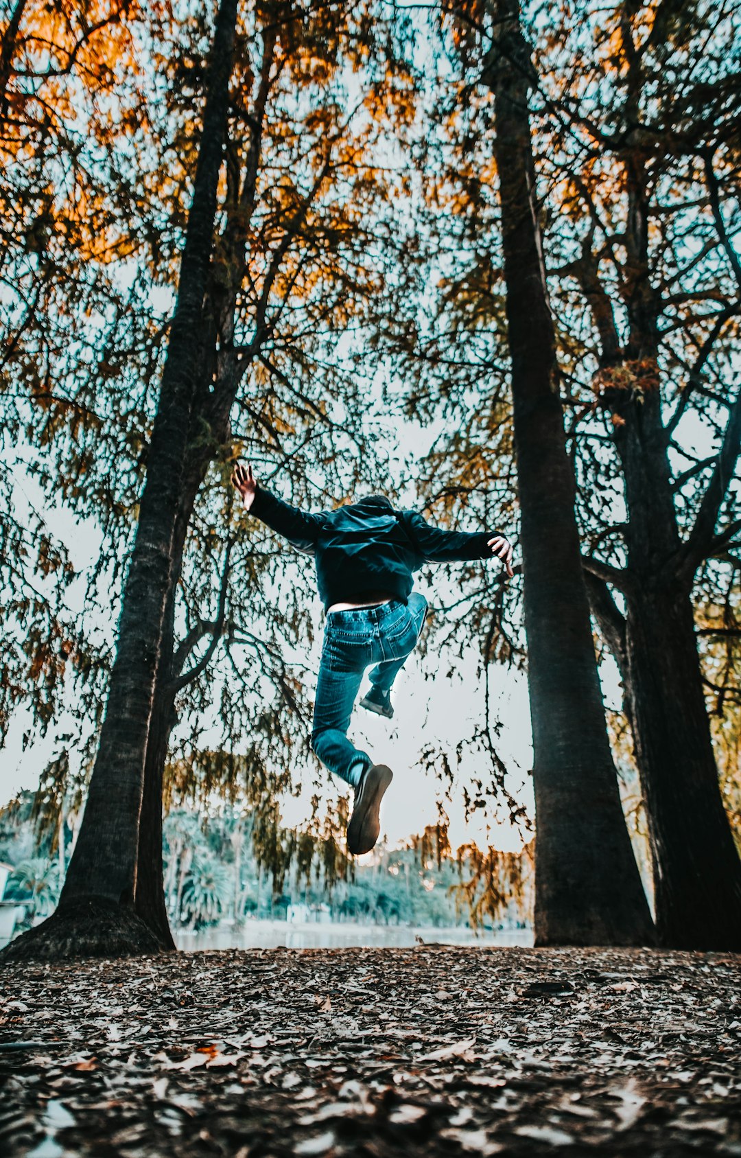 man in blue denim jeans jumping on brown tree branch during daytime