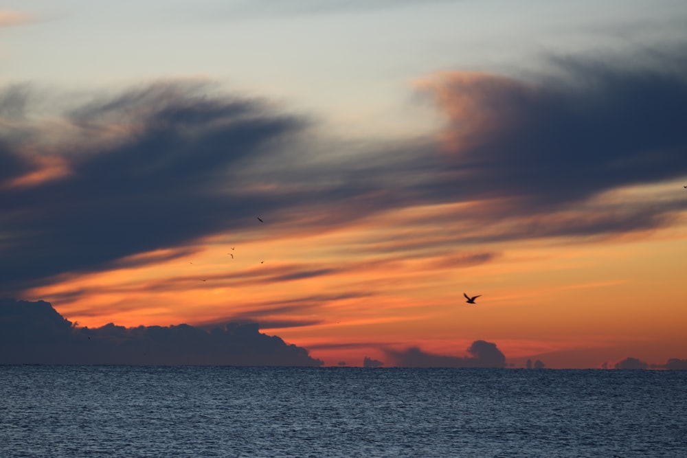 body of water under cloudy sky during sunset