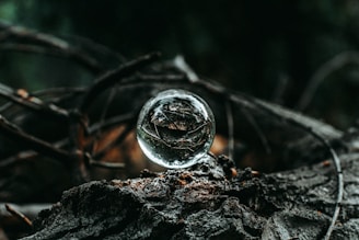 A mystical scene of a crystal ball on a velvet cloth surrounded by dried herbs and flowers.