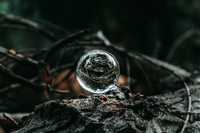 A mystical scene of a crystal ball on a velvet cloth surrounded by dried herbs and flowers.