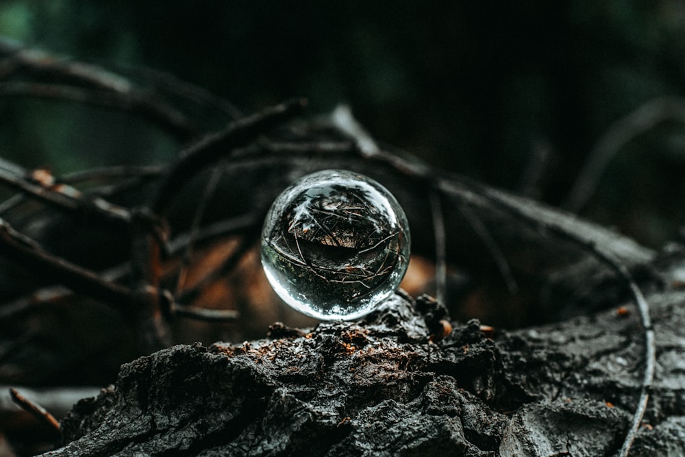 water drop on black rock