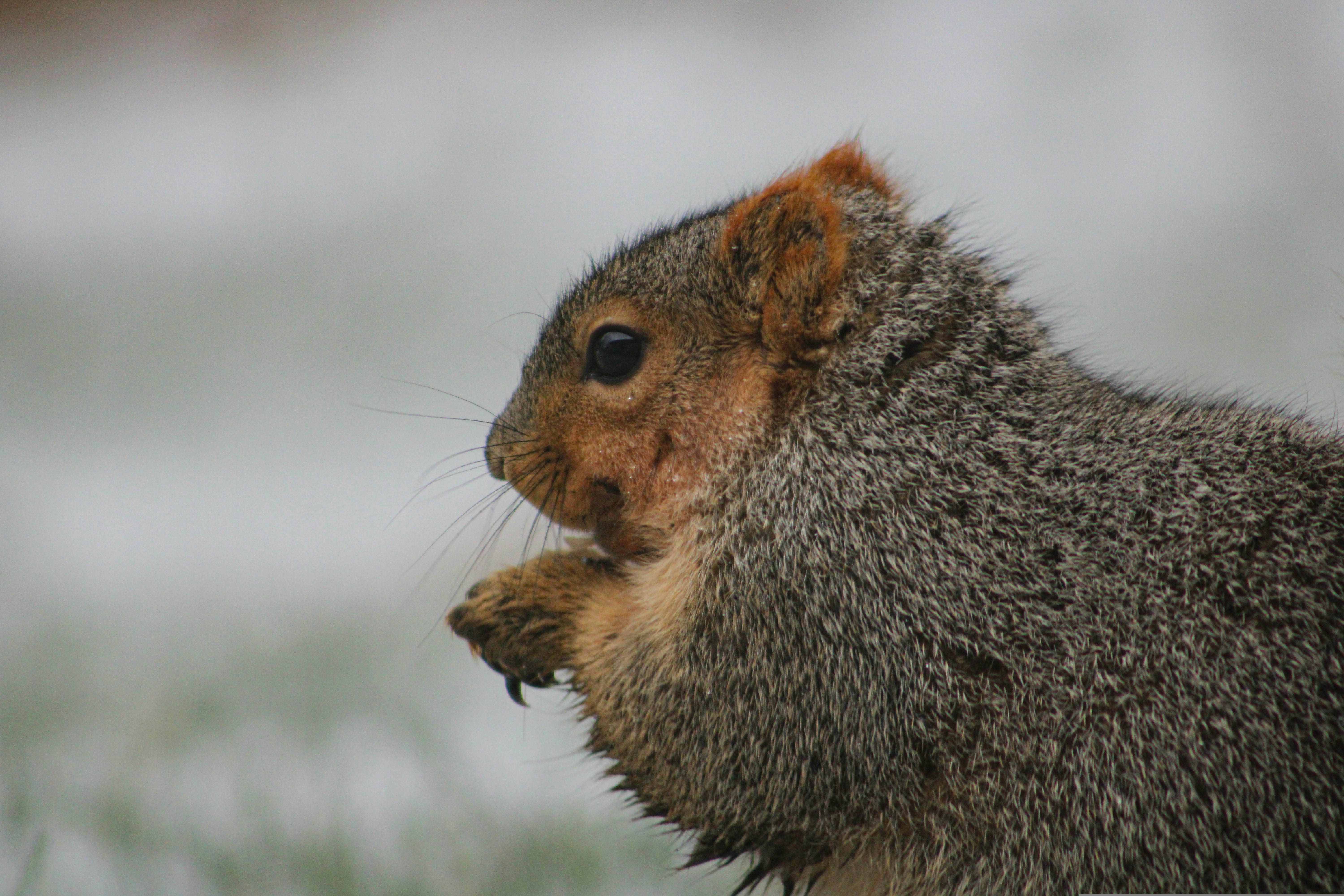 Photo by ethancurrier