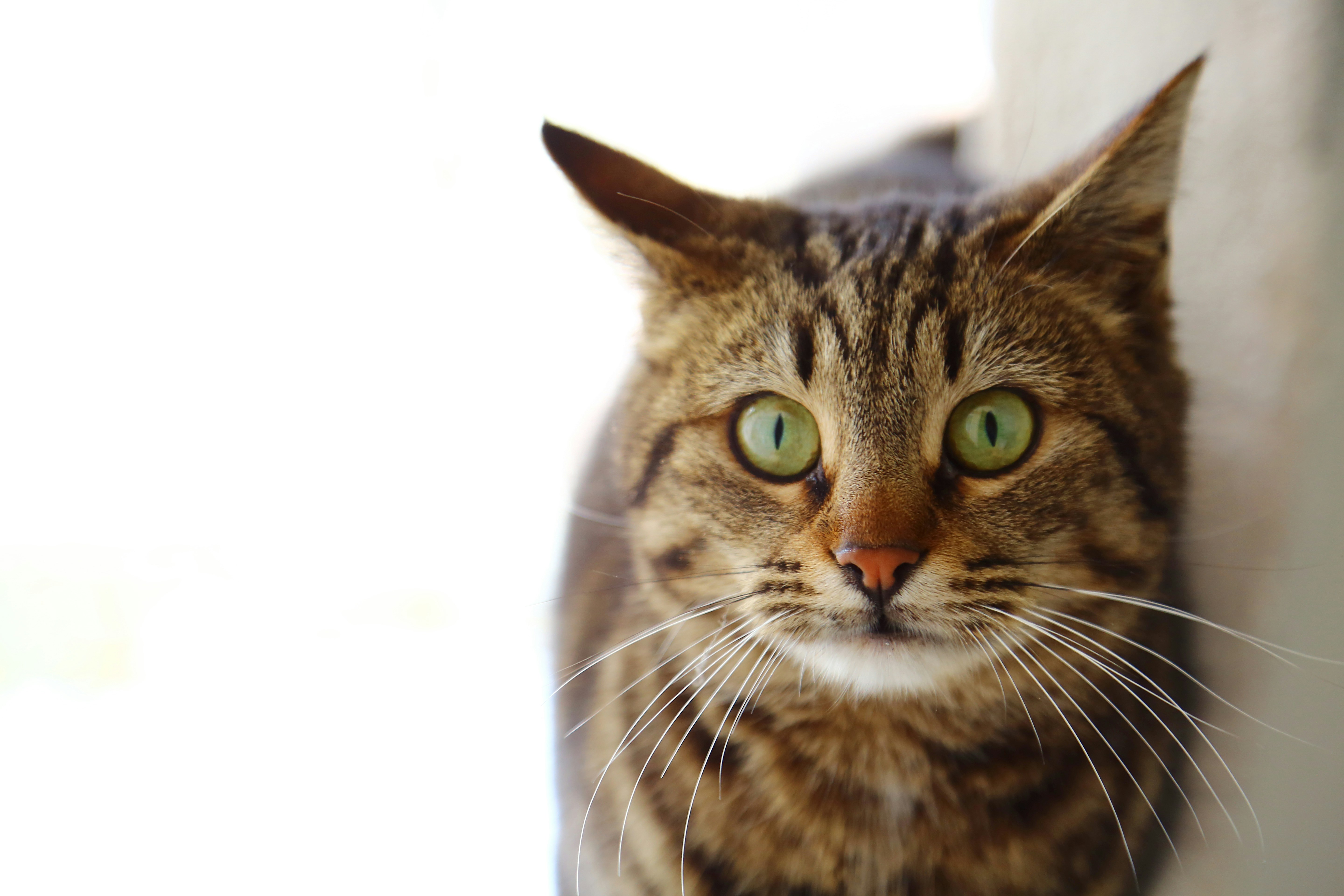 Photo by enginakyurt