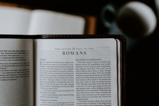 An open Bible lies on a flat surface, displaying the text of 'The Letter of Paul to the Romans.' A blurred cup or mug is visible in the background, suggesting a casual reading environment.