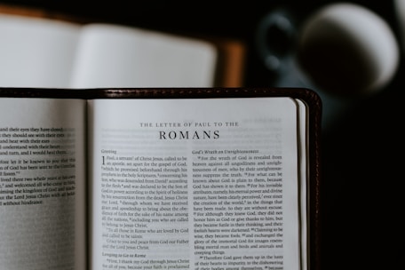 An open Bible lies on a flat surface, displaying the text of 'The Letter of Paul to the Romans.' A blurred cup or mug is visible in the background, suggesting a casual reading environment.