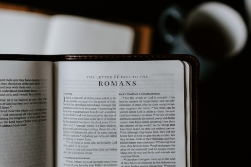 An open Bible lies on a flat surface, displaying the text of 'The Letter of Paul to the Romans.' A blurred cup or mug is visible in the background, suggesting a casual reading environment.