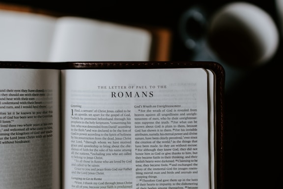 An open Bible lies on a flat surface, displaying the text of 'The Letter of Paul to the Romans.' A blurred cup or mug is visible in the background, suggesting a casual reading environment.