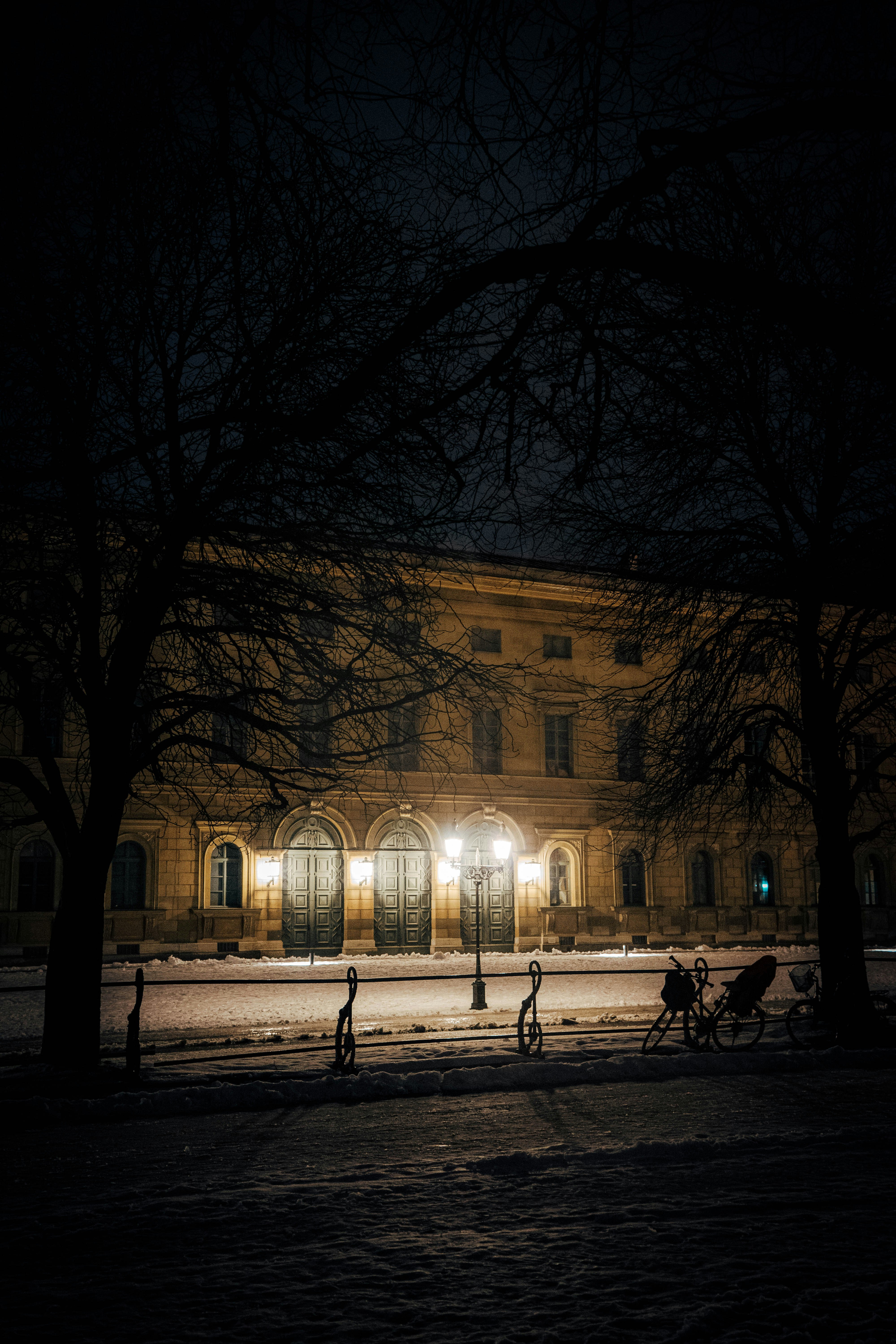 people walking near building during night time