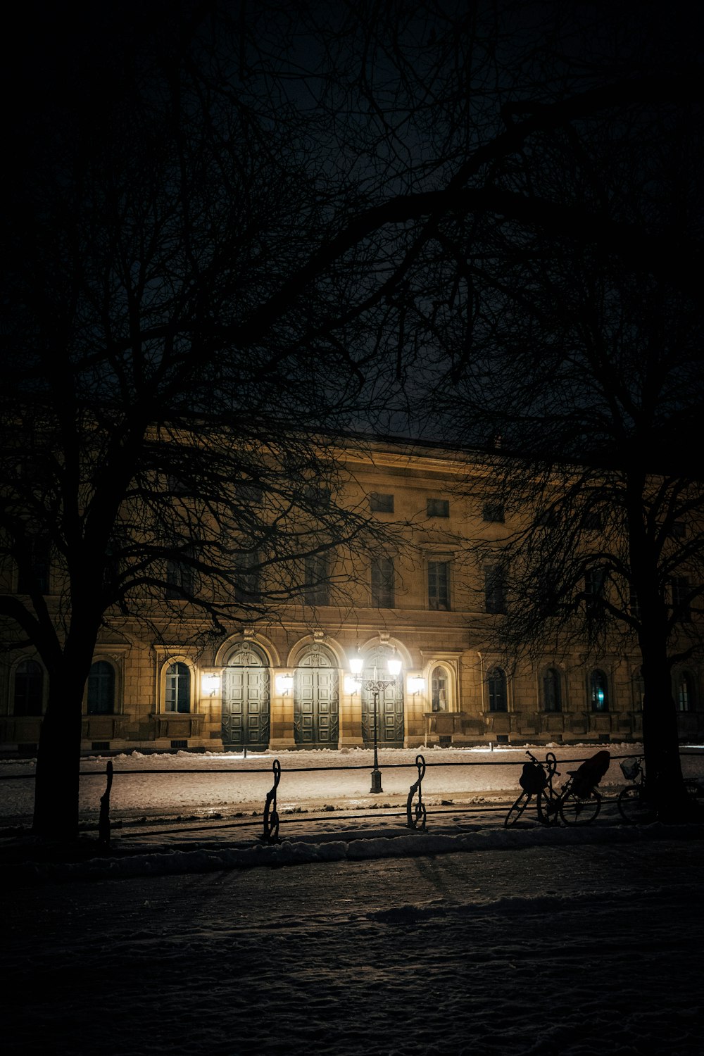 people walking near building during night time