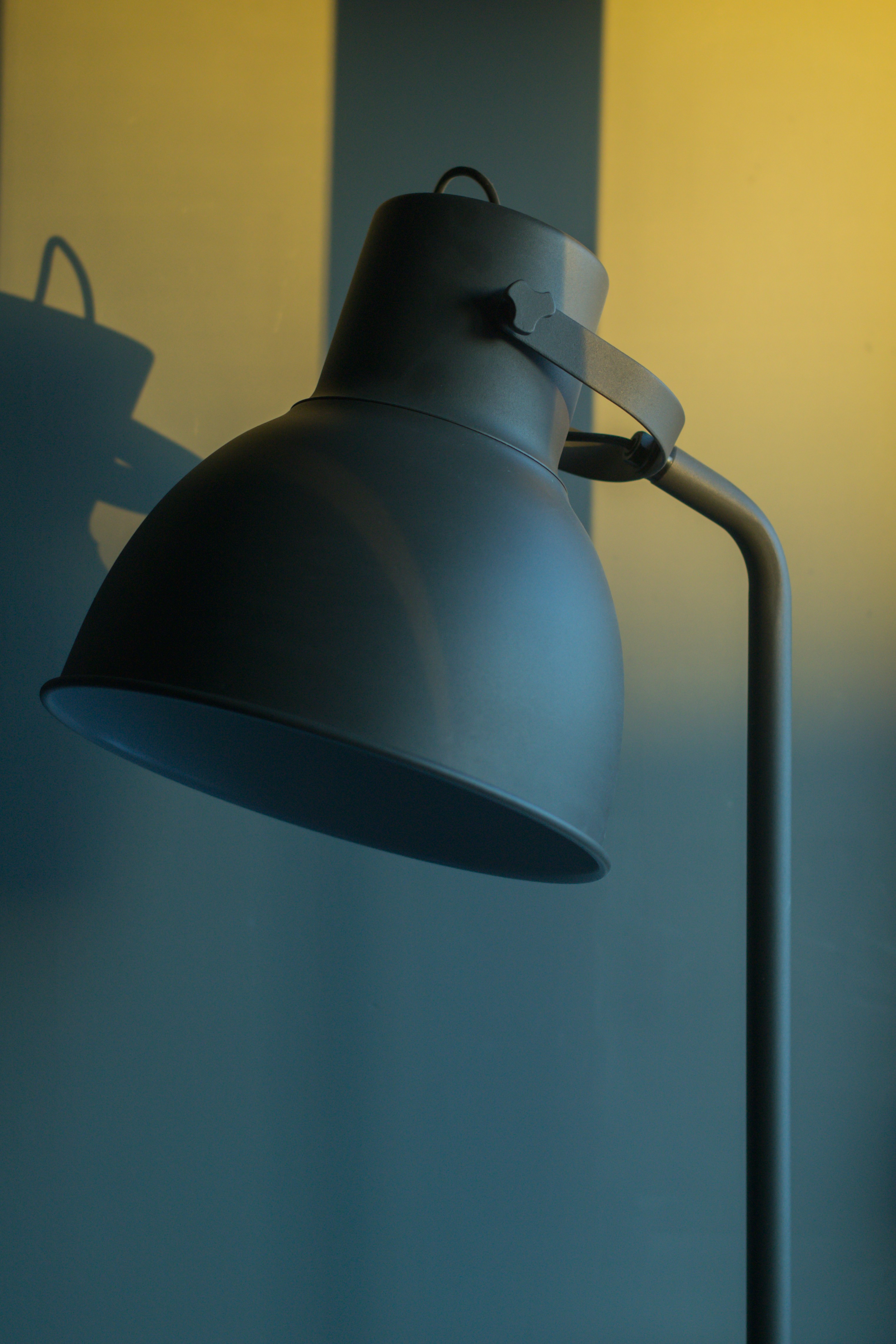 Photo by filipbaotic