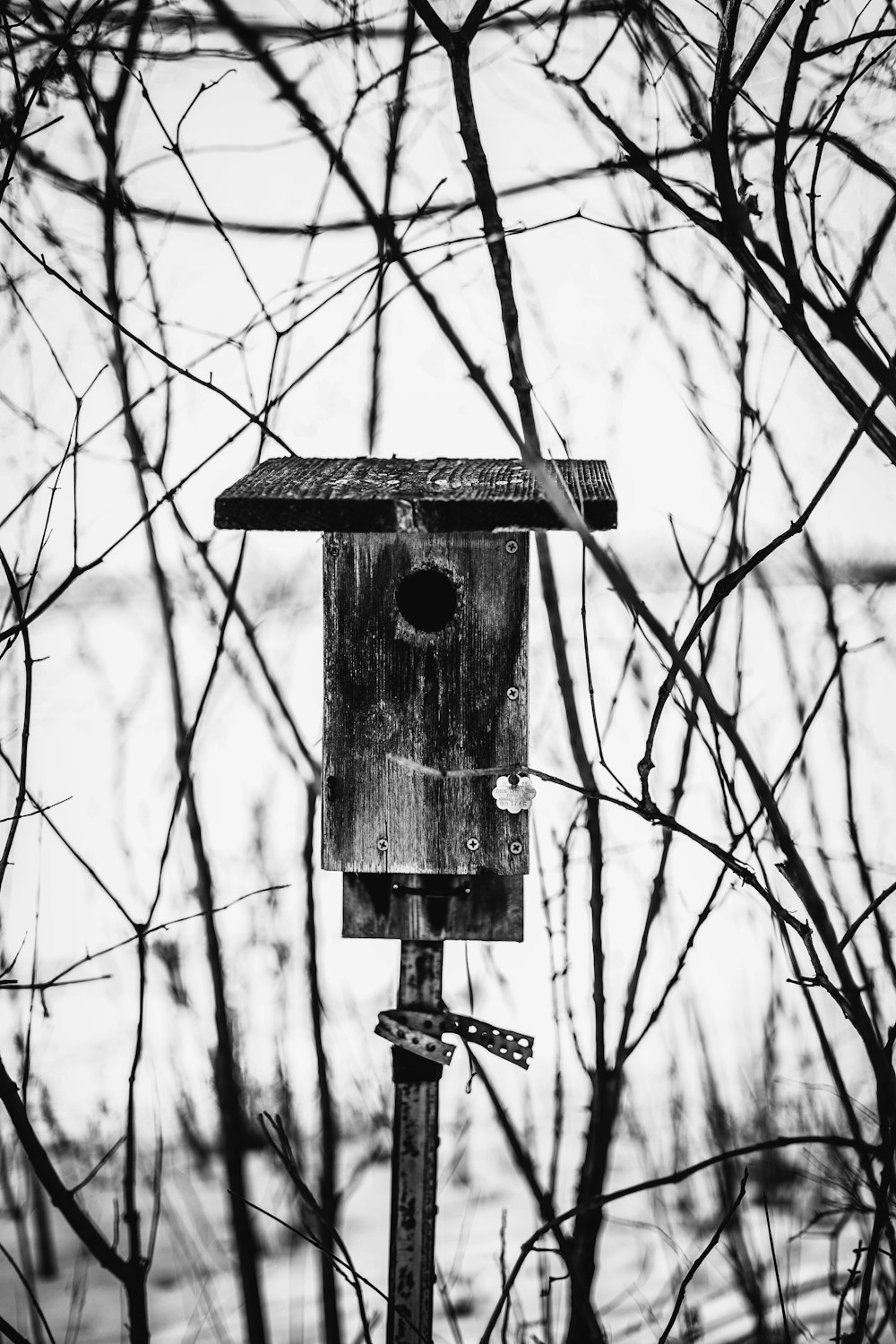 grayscale photo of wooden birdhouse