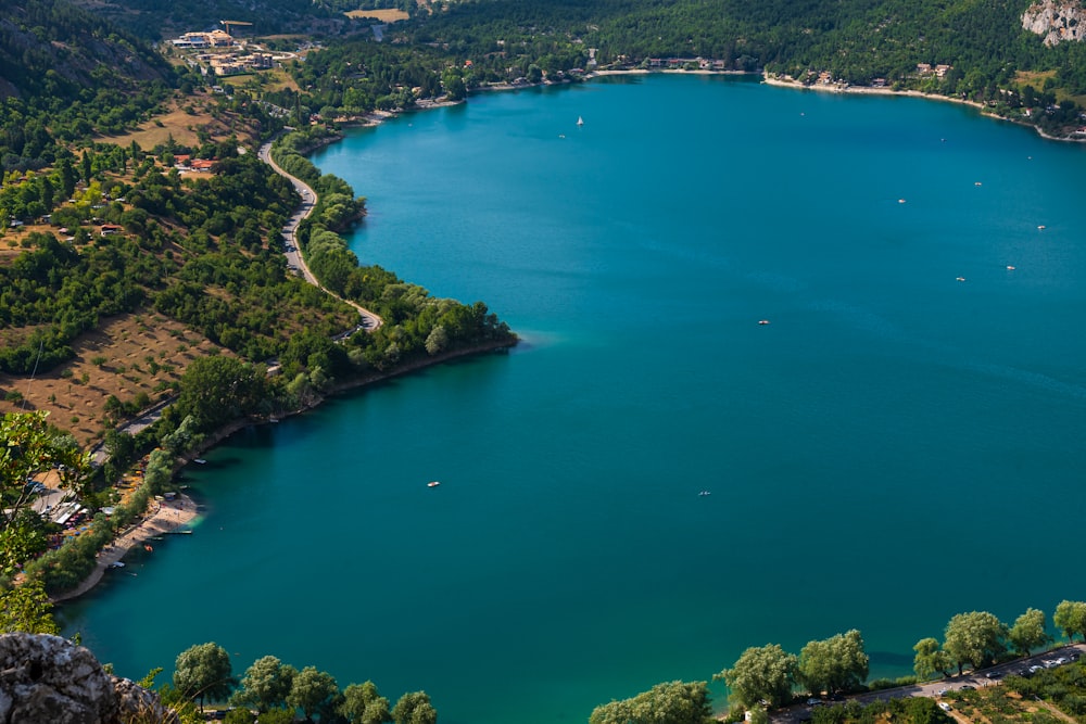 aerial view of green trees and blue sea during daytime