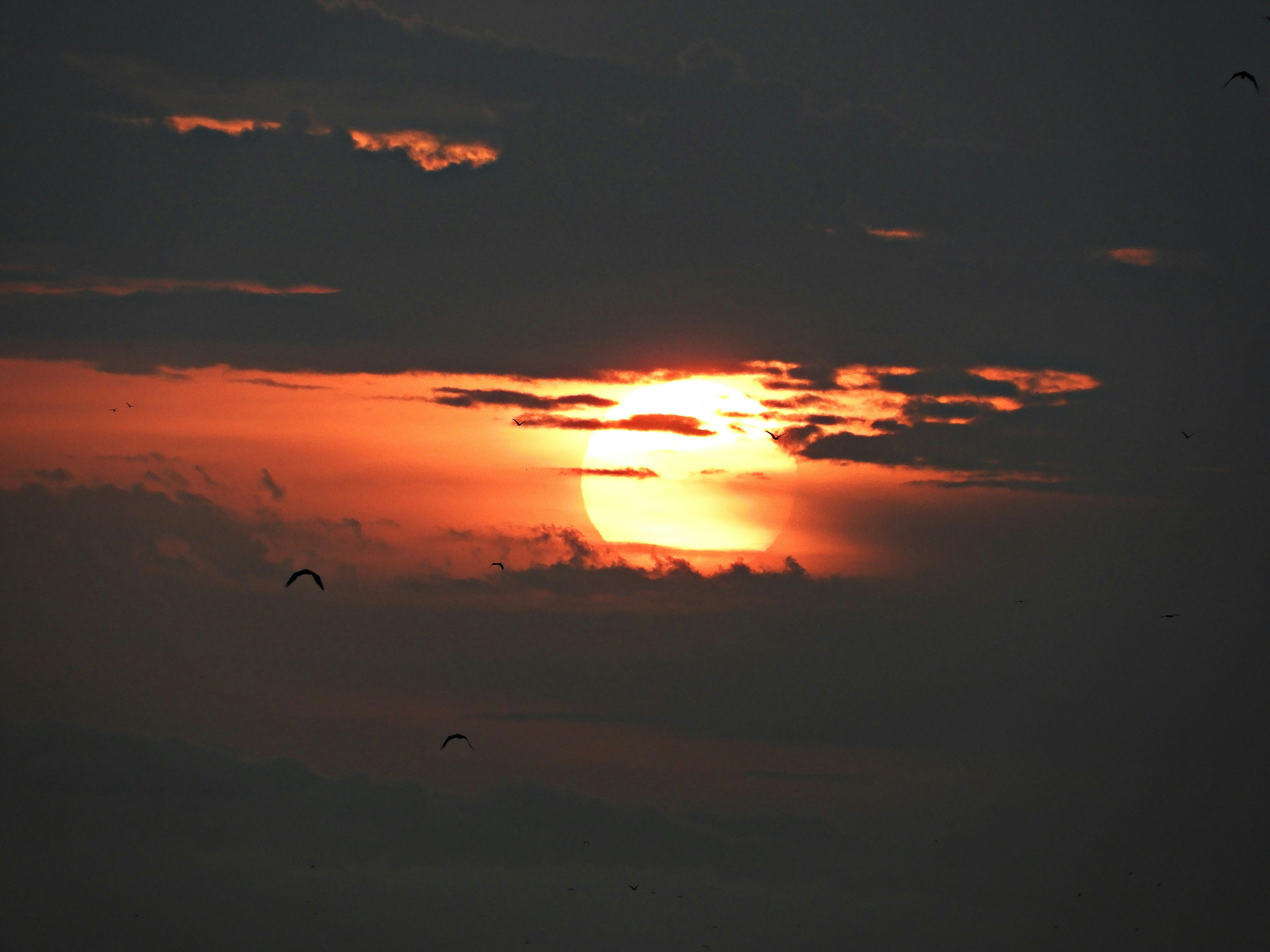Photo by rajiv63