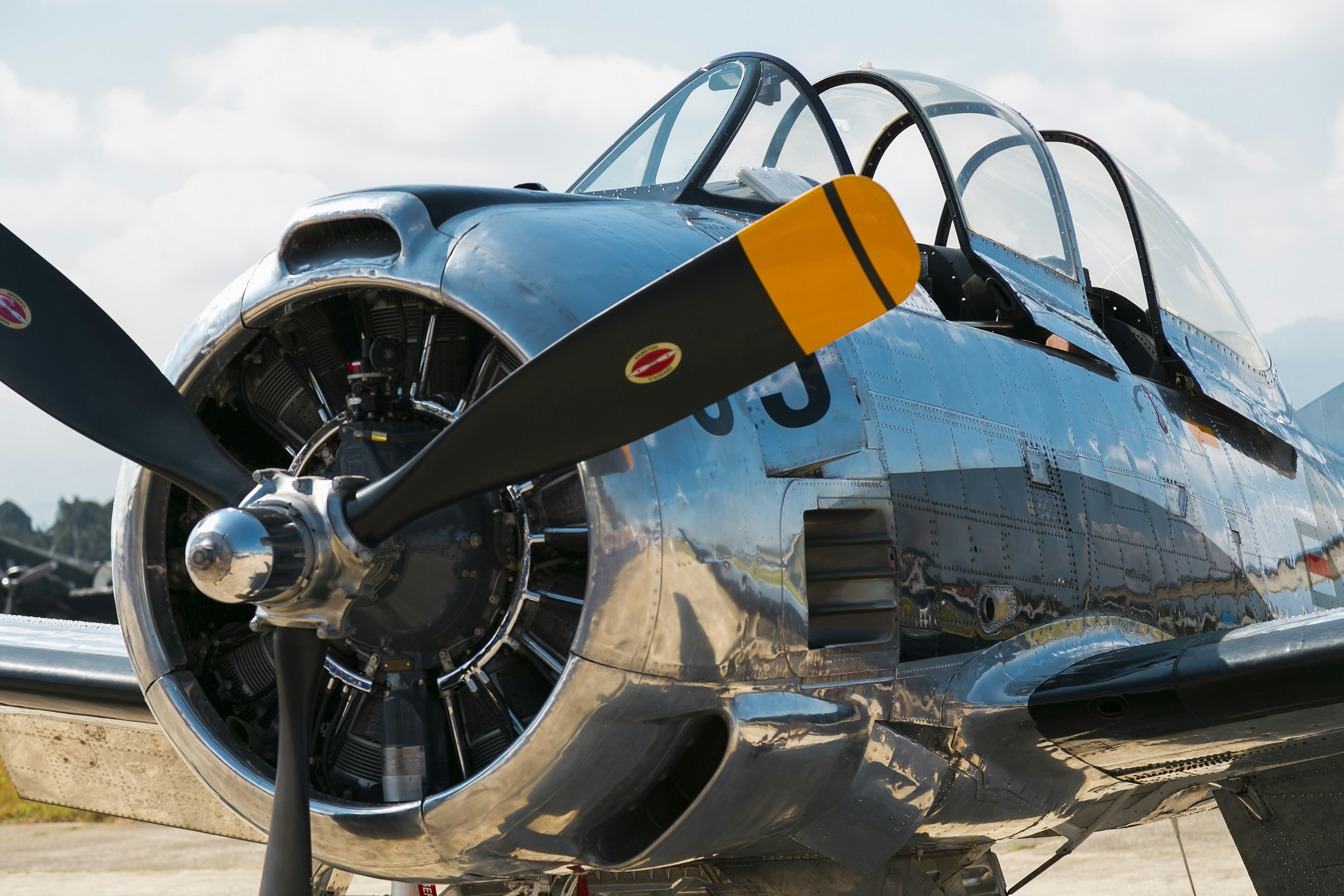 Leading Data Transformation in the Age of AI