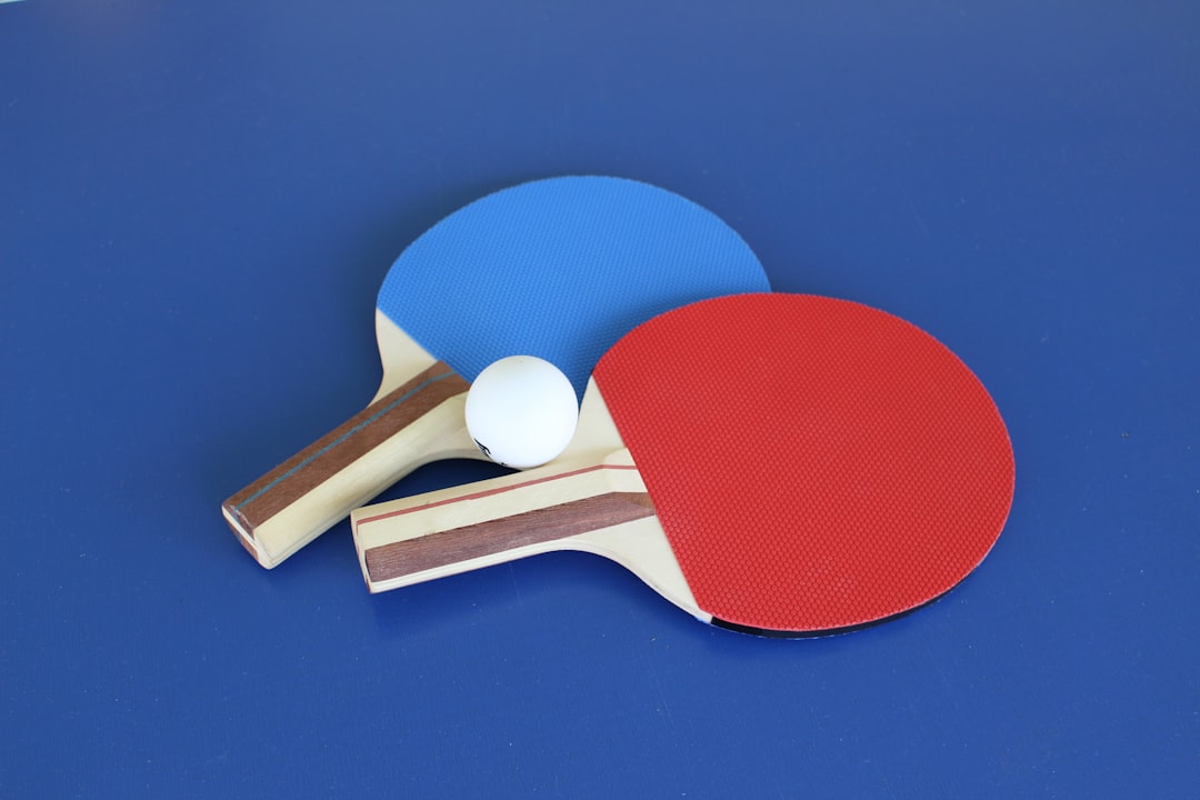 Ping Pong Paddle set