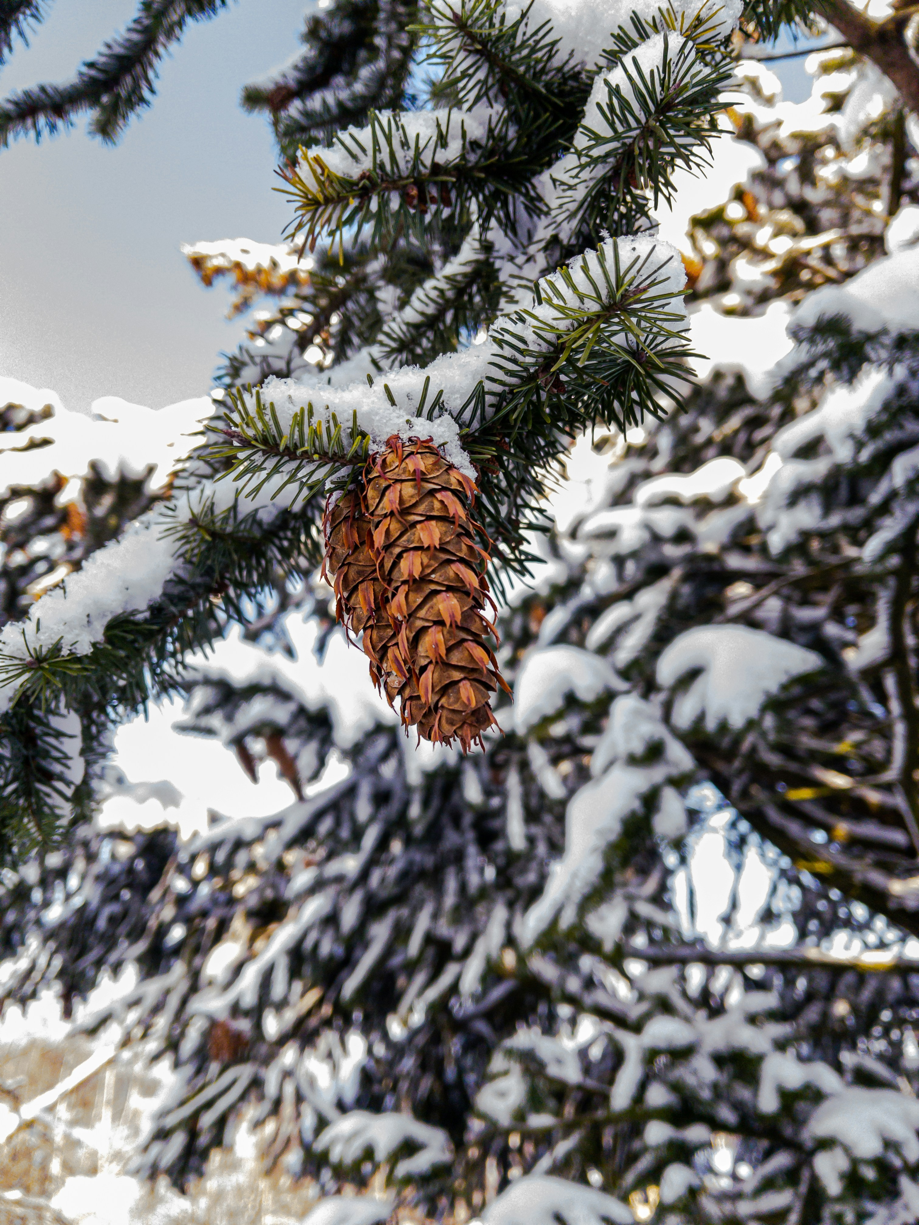 Photo by jakub_neskora