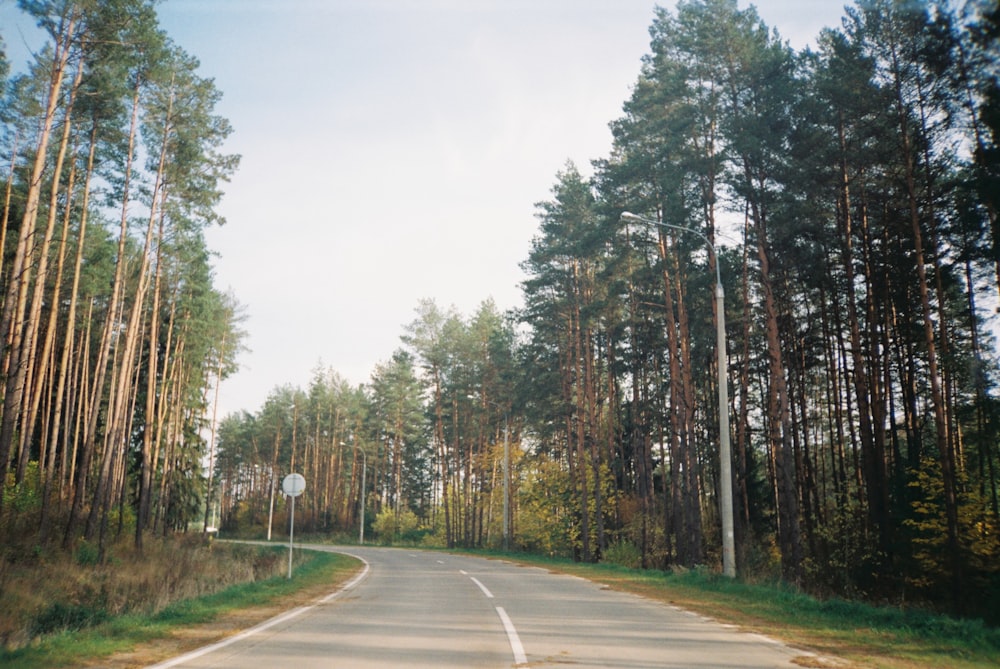 gray concrete road between green trees under white sky during daytime