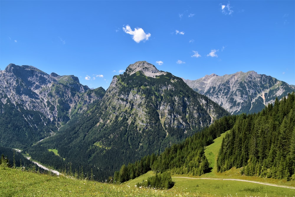 Grünes Grasfeld in Bergnähe unter blauem Himmel tagsüber