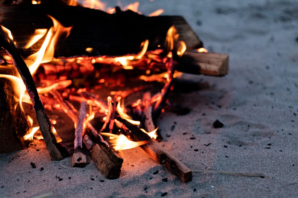 fire on brown wooden plank