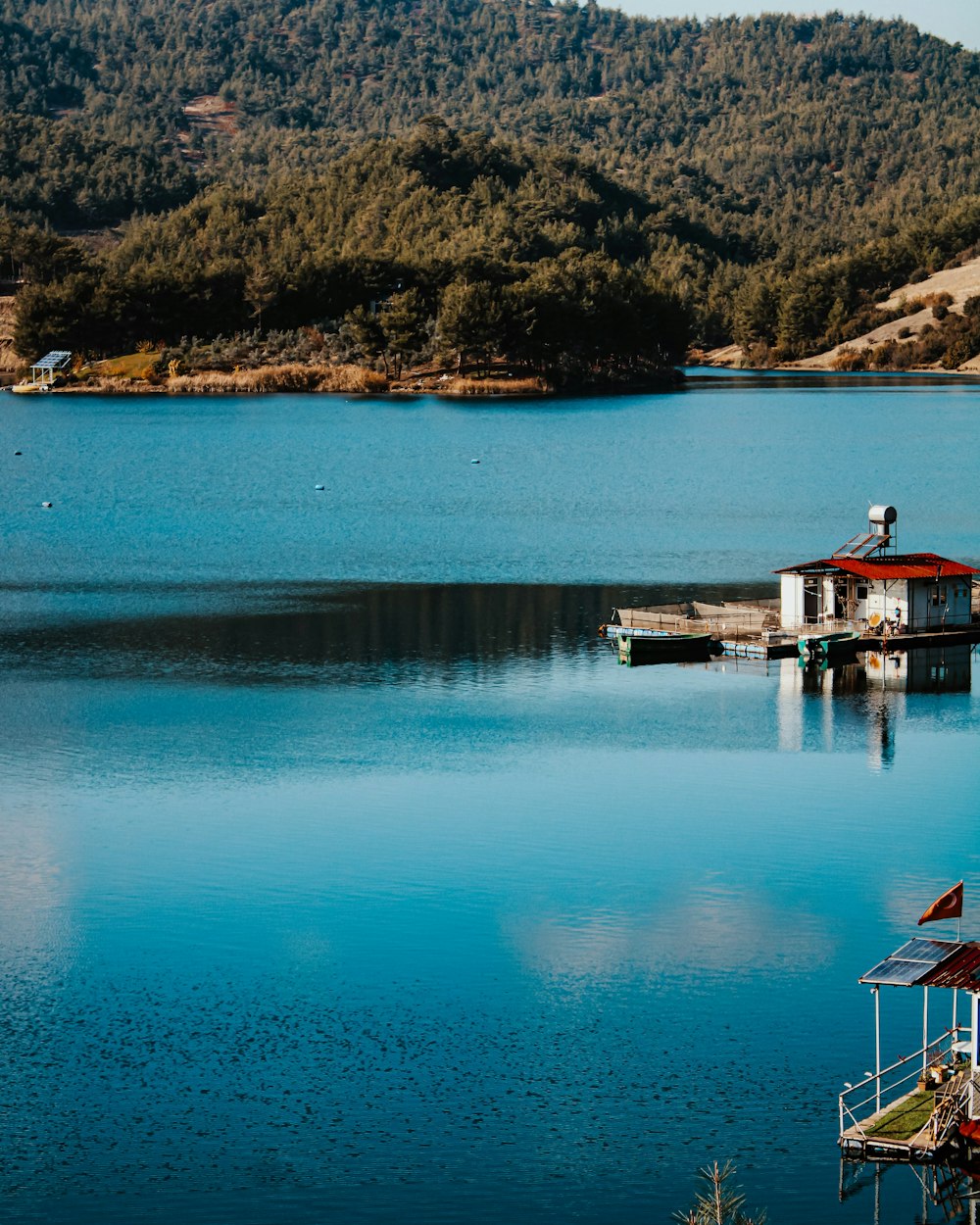 Pontile di legno marrone sul lago blu durante il giorno