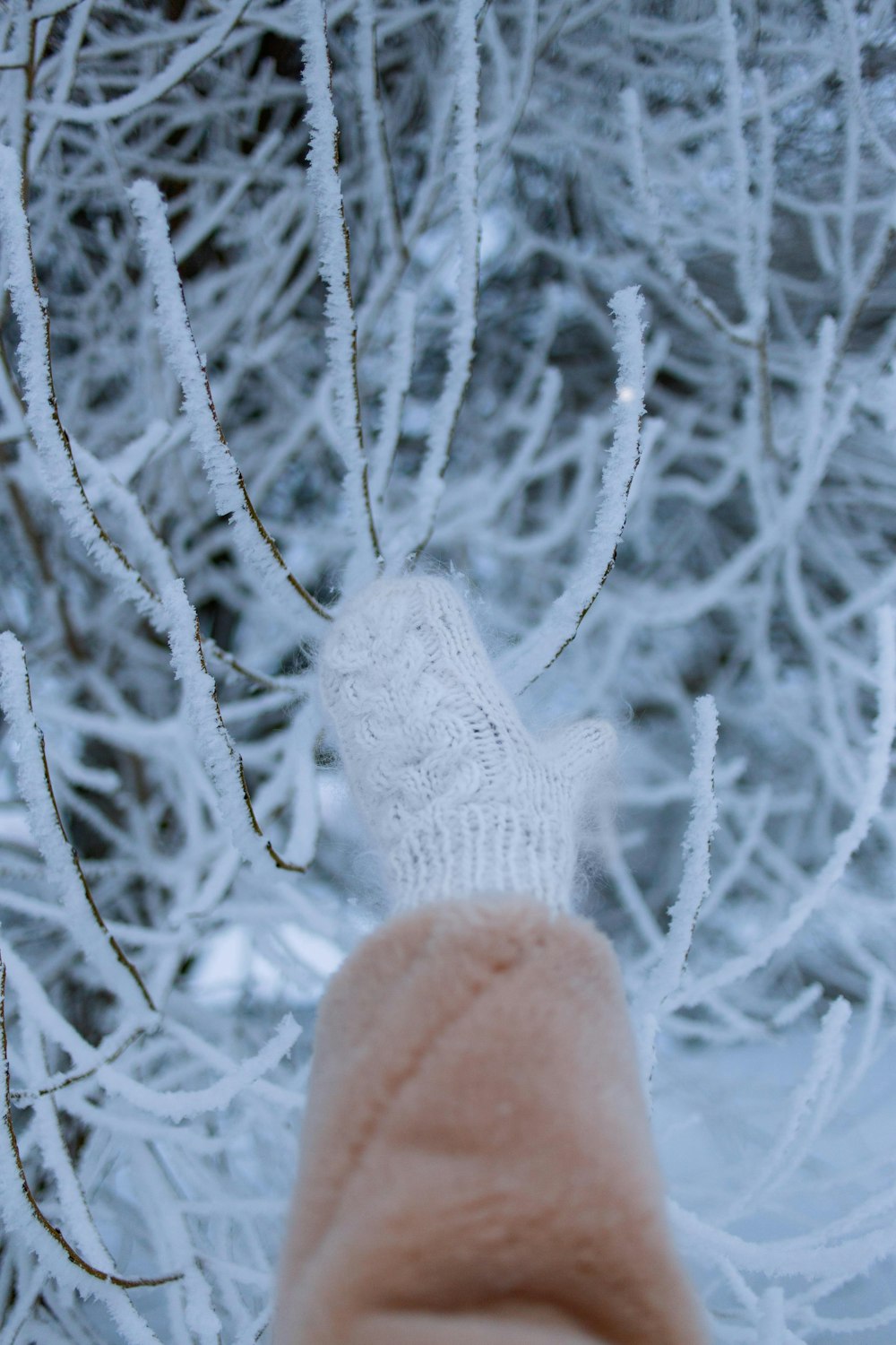 personne en gants en tricot rose recouverts de neige