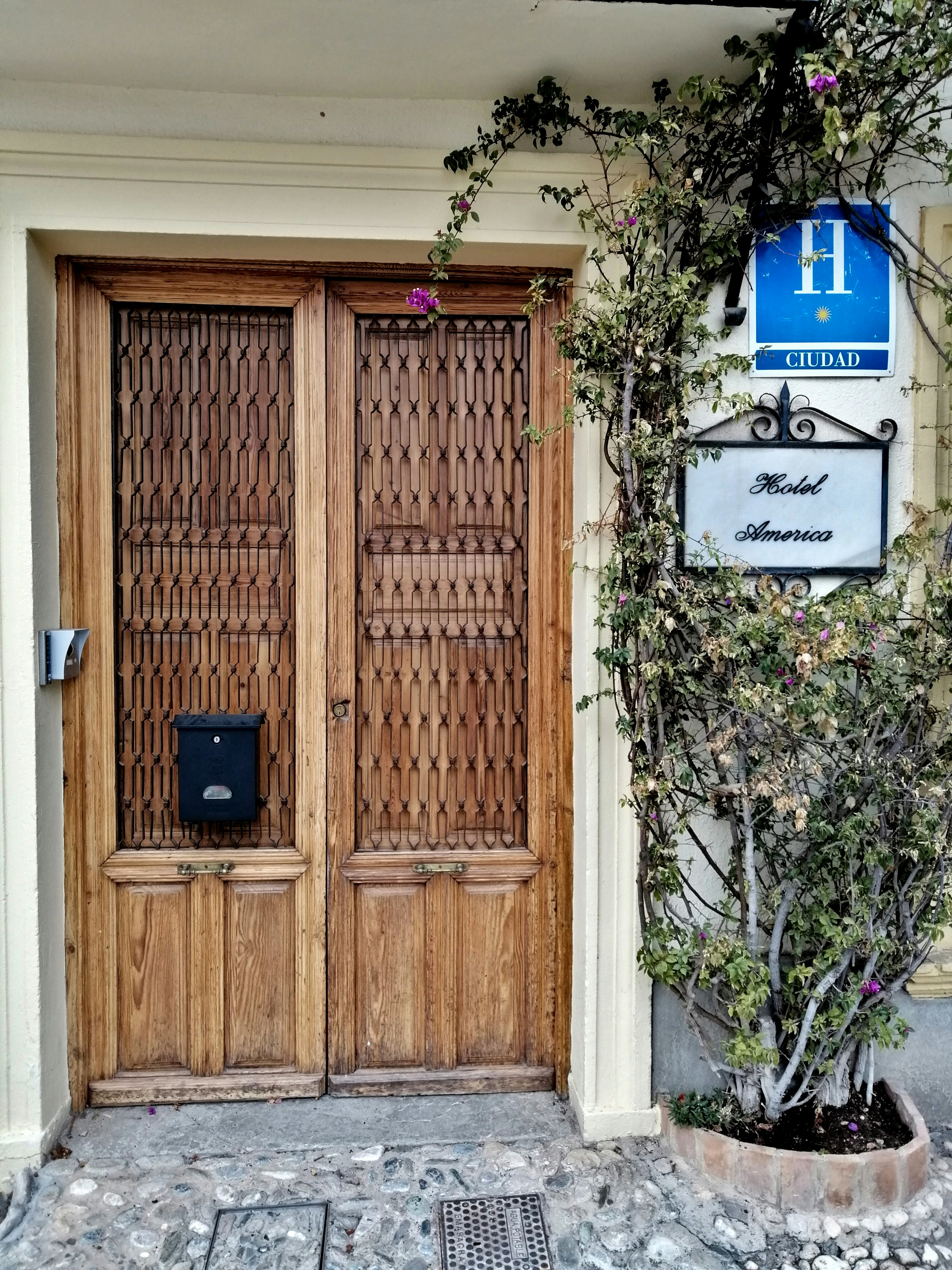 brown wooden door with green plant