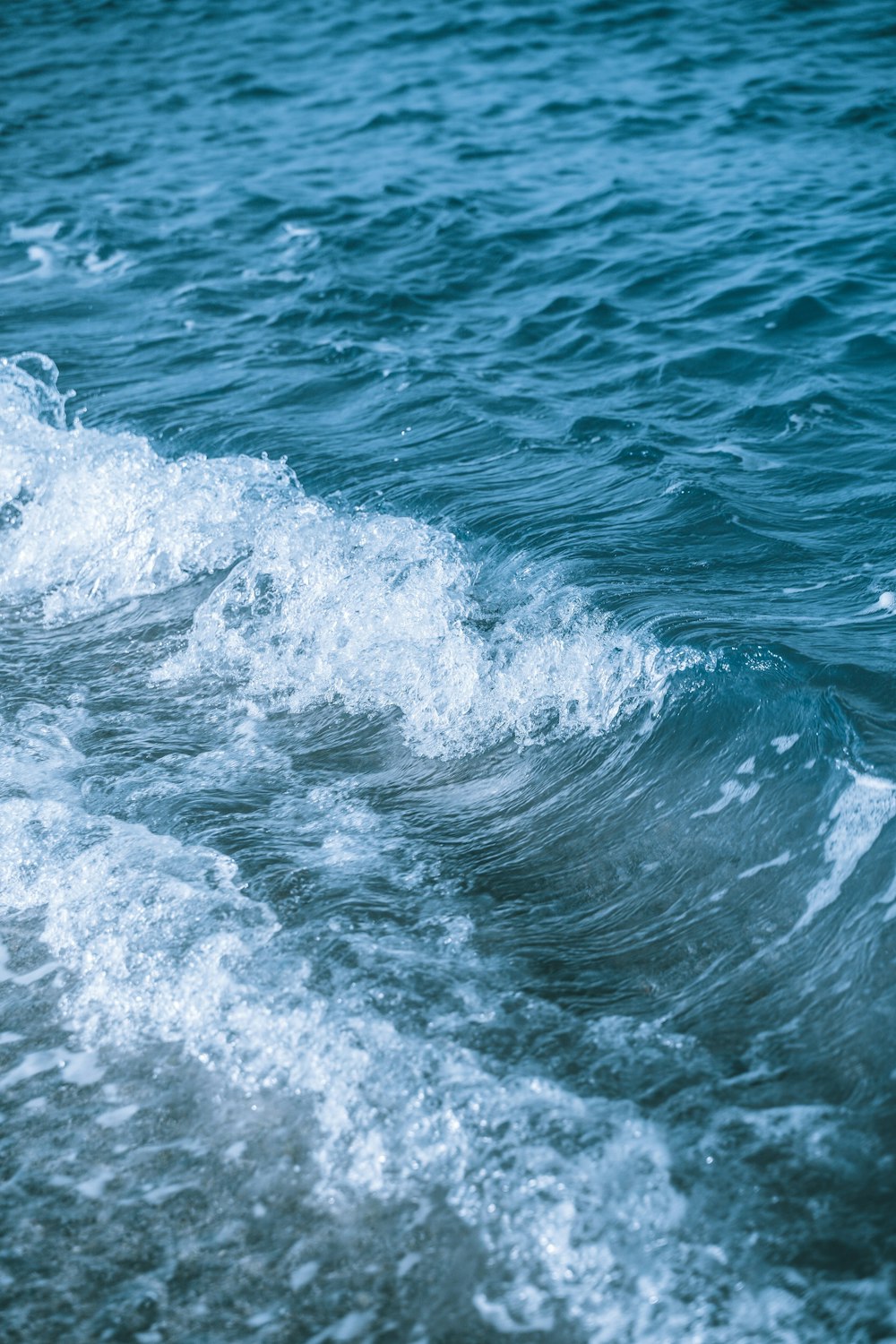 昼間の青い海に波打つ水