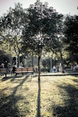 A peaceful park with people reading newspapers and chatting on benches.